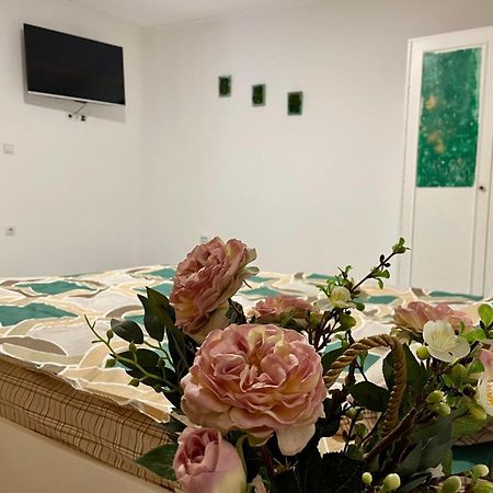 Apartament House Sasca Leilighet Oradea Eksteriør bilde
